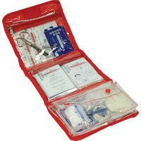 19 Piece Folding First Aid Kit